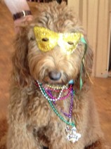 Bacchus is ready for Mardi Gras!