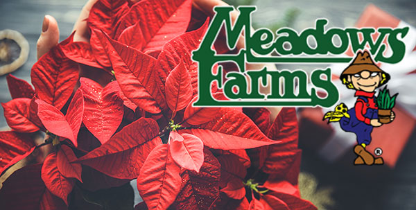 Meadows Farms